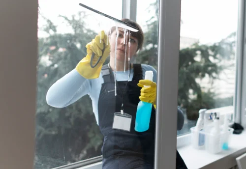 Nettoyage de vitres intérieures et extérieures à Jouhet